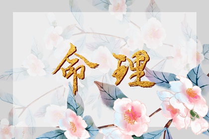 中华万年历 万年历黄历 老皇历万年历